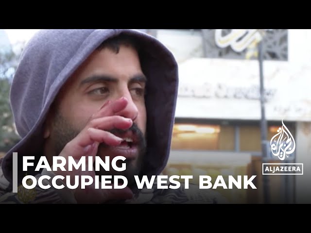 Farming in Palestine: Israel war affects agriculture industry