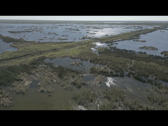 Massive project works to restore Florida's Everglades