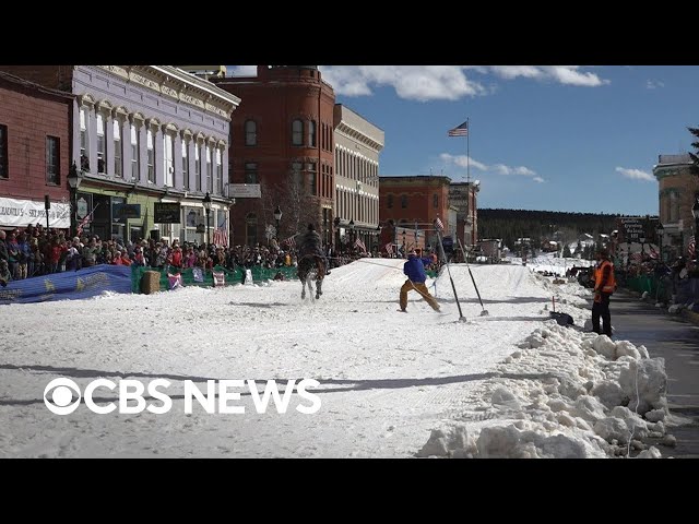 Learn more about the unique, unusual sport of skijoring