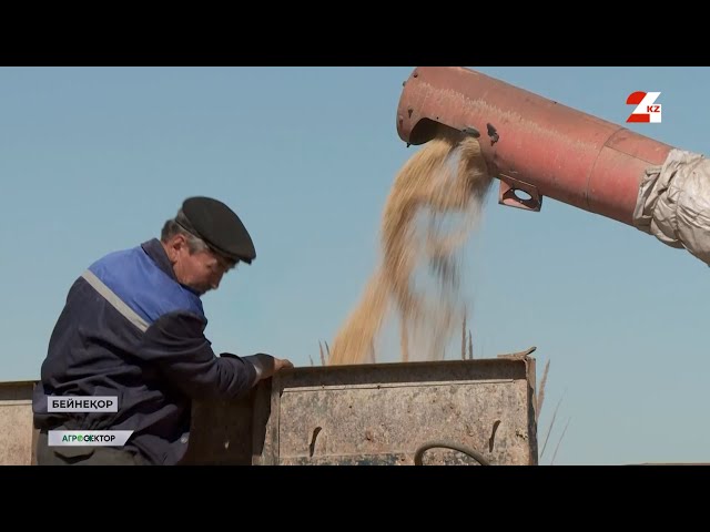 ⁣Егіншілердің еңбегі еш кетпесін | Агросектор