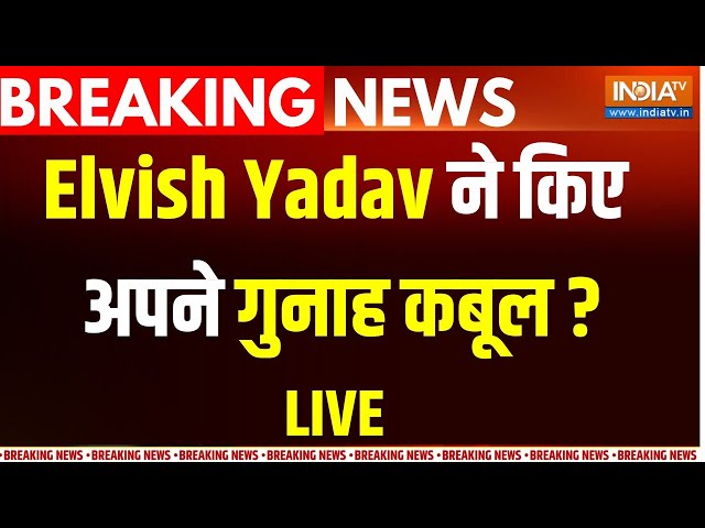 Elvish Yadav Arrest News LIVE :  Youtuber एल्विश यादव को कोर्ट से मिली जमानत.... जेल से निकल पाएंगे?