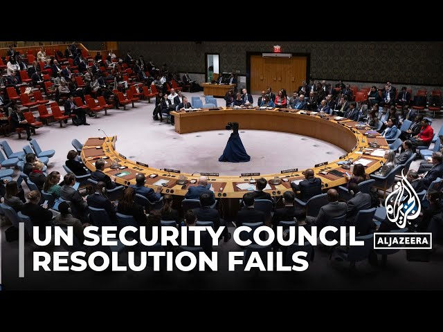 Another ceasefire resolution fails: China & Russia veto measure at UN Security Council