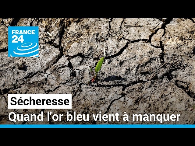 Etat des lieux de la sécheresse dans le monde • FRANCE 24