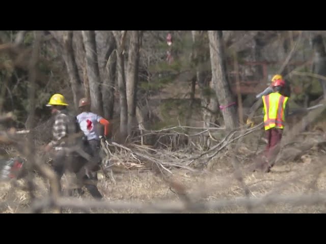 Veteran-led wildfire mitigation project kicks off in Arvada