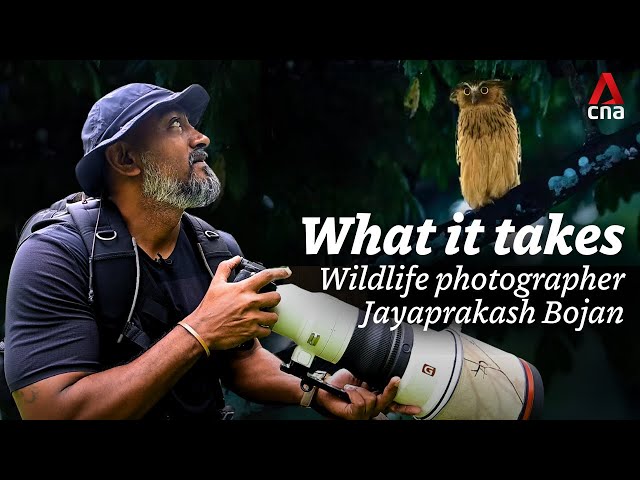 What It Takes: Top wildlife photographer Jayaprakash Bojan