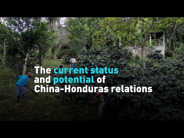 The current status and potential of China-Honduras relations