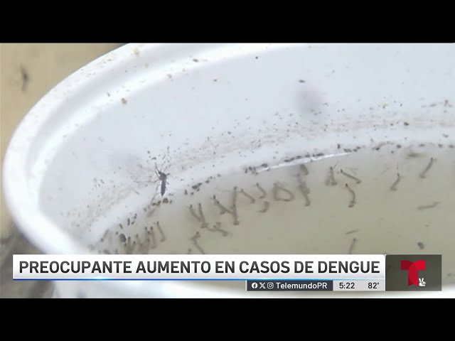 Semana epidemiológica cierra con 50 nuevos casos de dengue