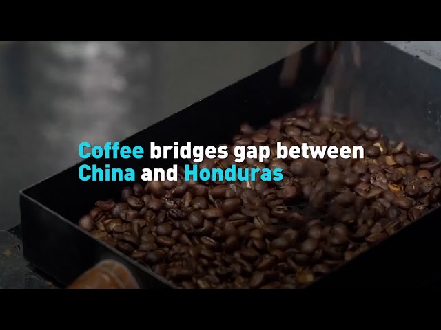 Coffee bridges gap between China and Honduras