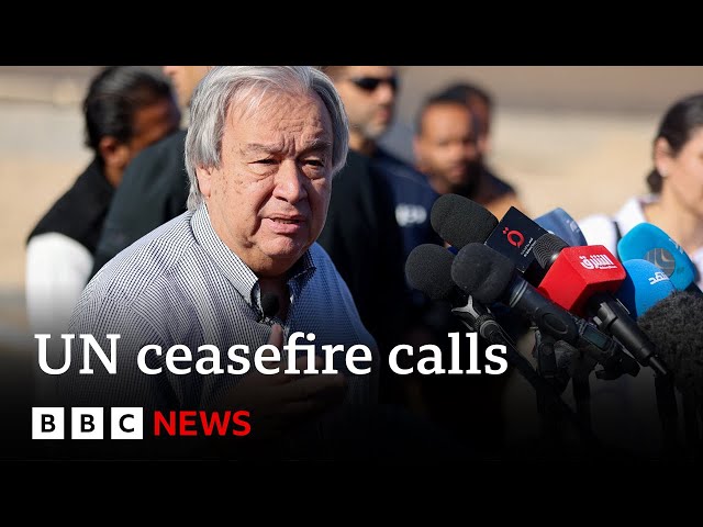 UN chief calls for immediate Gaza ceasefire | BBC News