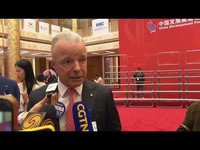 Boeing Global's president hails aviation cooperation at China Development Forum