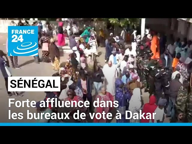 Présidentielle au Sénégal : forte affluence dans les bureaux de vote à Dakar • FRANCE 24