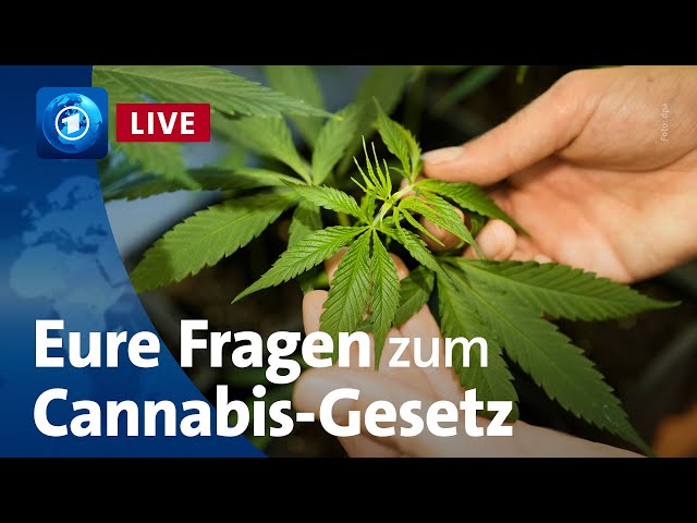 Cannabis-Teillegalisierung: Was heißt das für die Strafverfolgung? | Bericht aus Berlin Extra