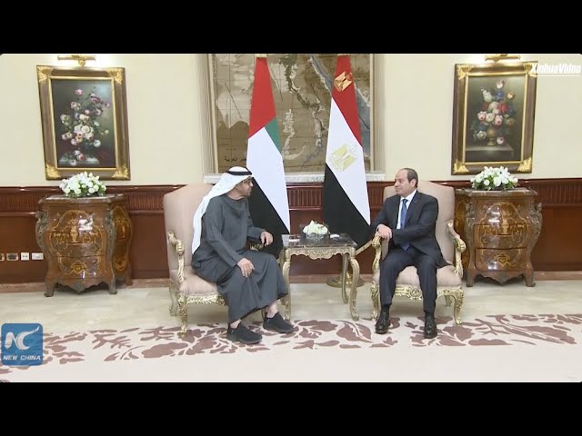 Egyptian, UAE leaders discuss enhancing cooperation