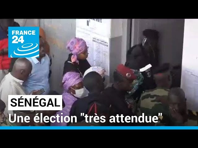 Présidentielle au Sénégal : une élection "très attendue" • FRANCE 24