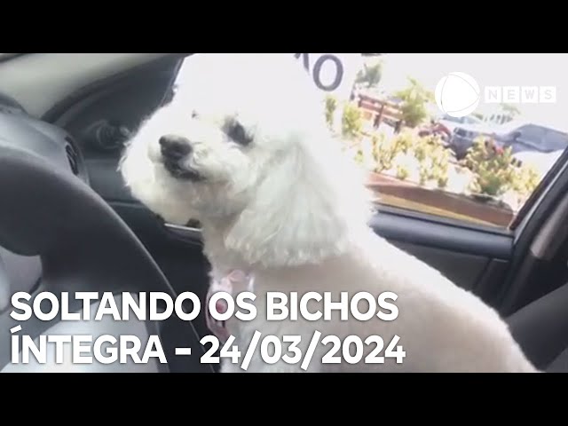 Soltando os Bichos - 24/03/2024