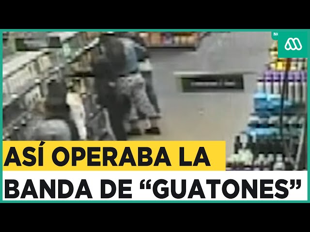 La caída de “los guatones”: Banda de mecheros llegaba en grupo hasta locales comerciales