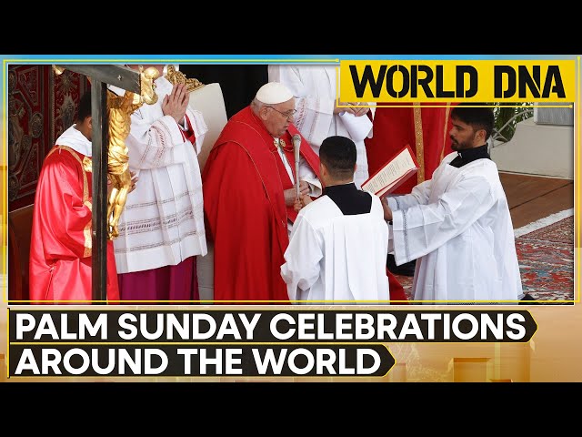 Palm Sunday 2024: 25,000 people attend mass held in St. Peters' square in Vatican | WION World 