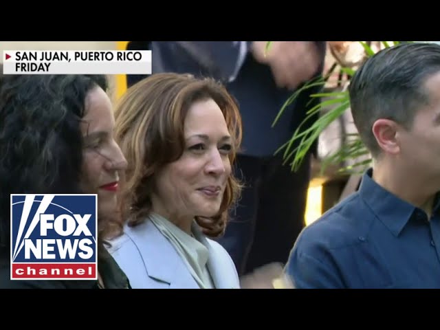 ‘CLUELESS KAMALA’: VP caught clapping along to anti-Israel protest song