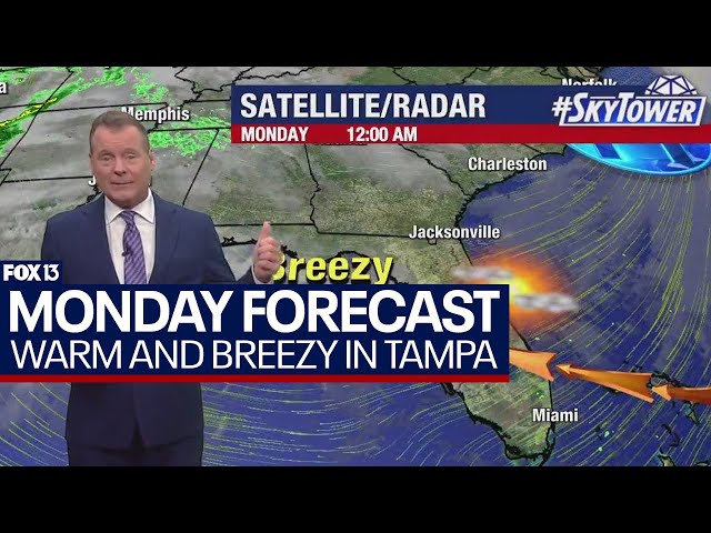 Tampa weather | warm, breezy day in store on March 25, 2024