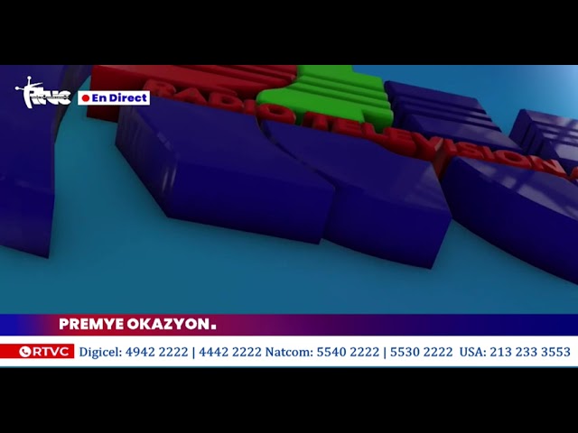 Plizyè dizèn konpatriyòt ayisyen tal plante pikèt yo sou plas dwa moun nan peyi lafrans