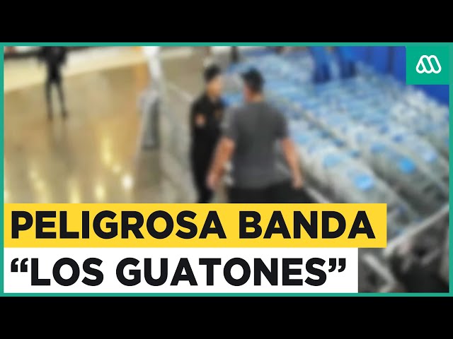 "Los Guatones": El clan familiar dedicado al robo en locales comerciales