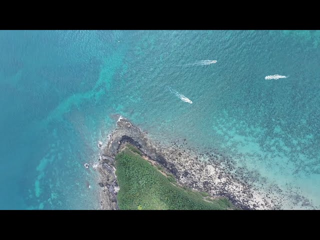 GLOBALink | Marine life observation event held on China's youngest volcanic island