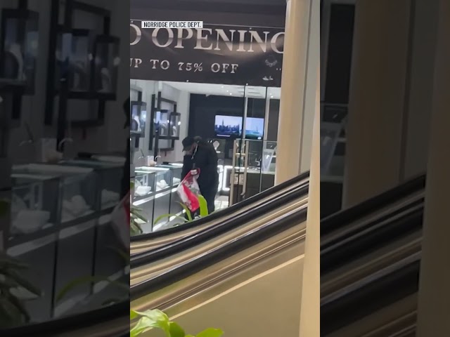 Frightening video shows jewelry store heist at suburban mall