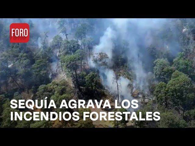 Incendio forestal en Valle de Bravo - Las Noticias