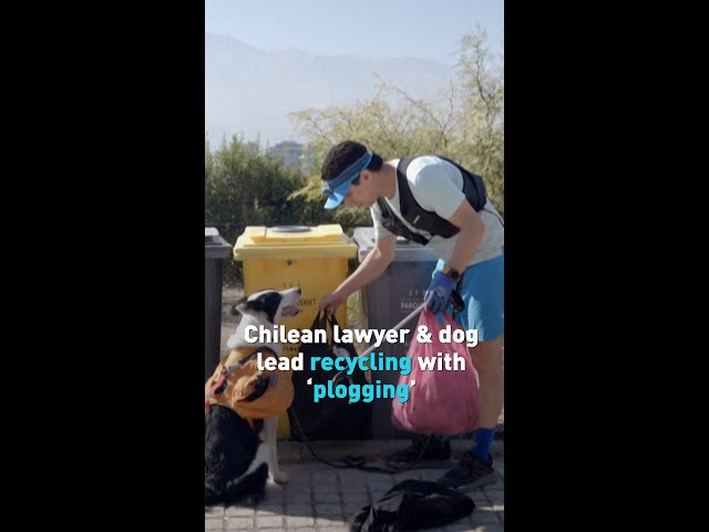 Chilean lawyer & dog lead recycling with ‘plogging’