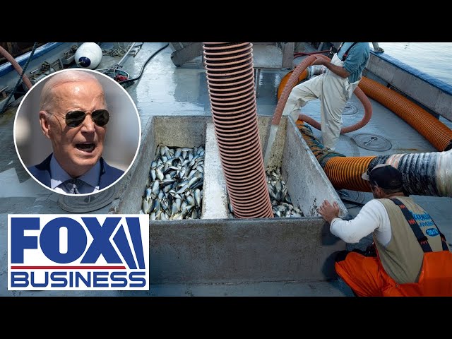 HIT ‘FROM EVERY DIRECTION’: Fishing industry reeling over Biden wind farm