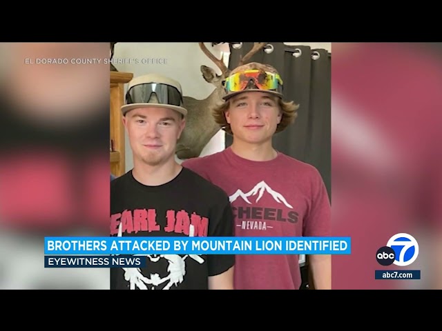 California brothers attacked by mountain lion identified