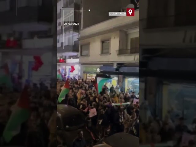 ⁣"احشد وقاطع".. مغاربة يخرجون بتظاهرة ليلية في مدينة طنجة نصرة لقطاع غزة