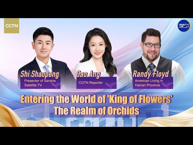 Watch: Entering the world of the 'king of flowers' – the realm of orchids