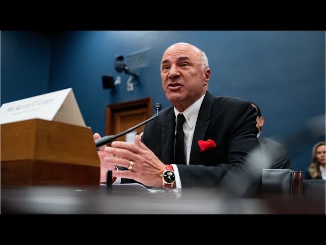 Kevin O'Leary praises the 'adults' who saved Trump from hefty fraud trial bond