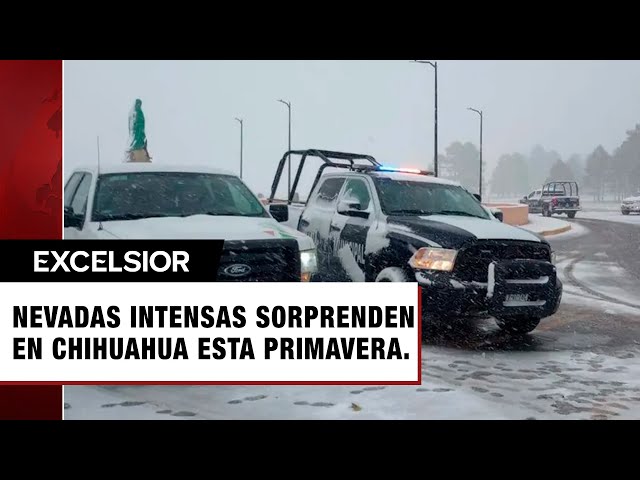 Autoridades reportan intensas nevadas en Chihuahua en plena primavera