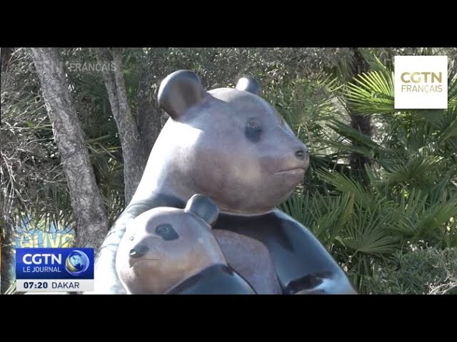 AMITIÉ SINO-FRANÇAISE Inauguration d'une sculpture monumentale de panda