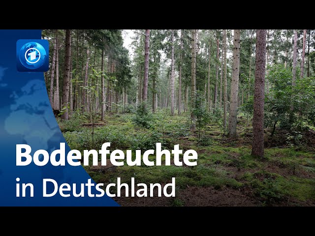 Deutscher Wetterdienst: Vorhersage der Bodenfeuchte in Deutschland