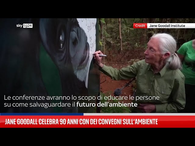 Jane Goodall festeggia i 90 anni