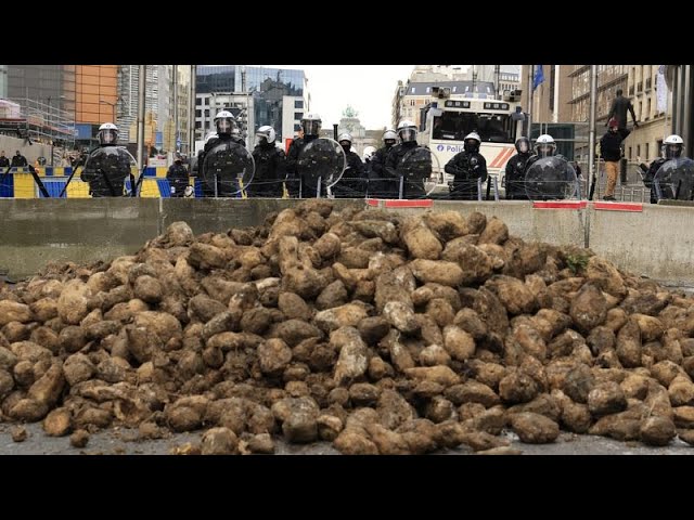 ⁣Los agricultores vuelven a manifestarse en Bruselas a pesar de las concesiones