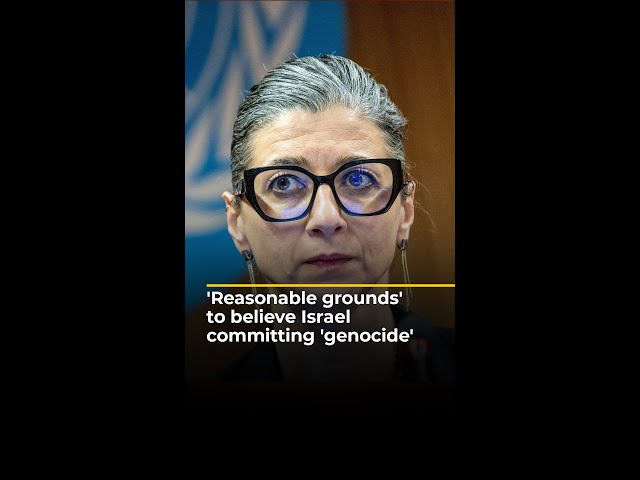 'Reasonable grounds' to believe Israel committing 'genocide' | AJ #shorts