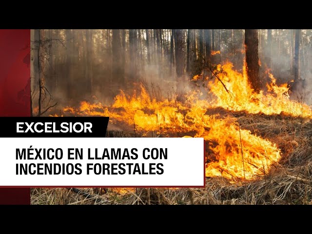 México arde con más de 50 incendios activos en varios estados