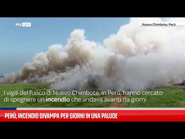 Gli incendi mettono in pericolo una zona paludosa in Perù