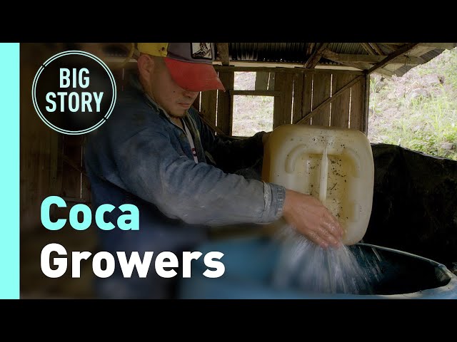 A Rustic Process – Coca Growers