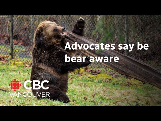 Advocates call on residents to take precautions as bears come out of hibernation