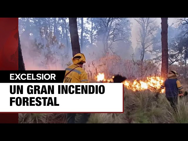 ¡Arde CDMX! De enero a marzo van 594 incendios forestales