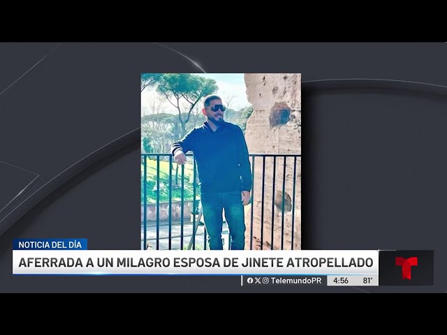 Lucha por su vida jinete arrollado por conductora presuntamente ebria