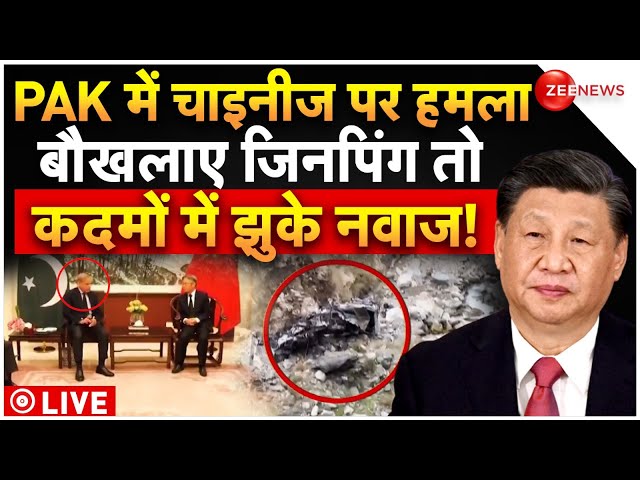 Pakistan Suicide Bomb Attack LIVE: चीनी नागरिकों की हत्या से घबराया PAK! Shehbaz Sharif | China