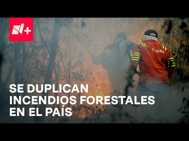 Se duplican incendios forestales en México; en Veracruz, pobladores ayudan a sofocarlos - En Punto