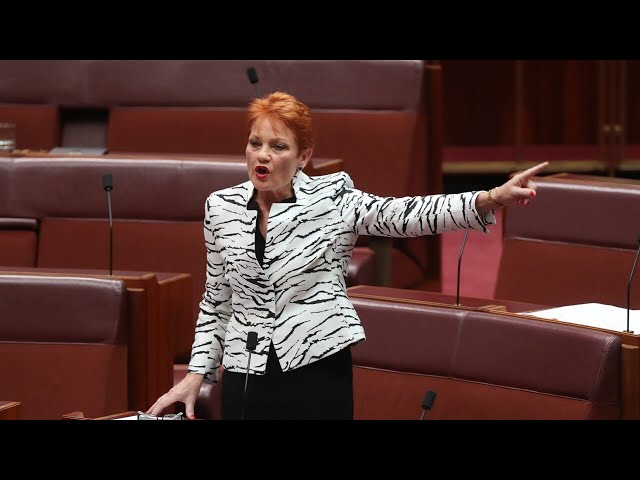 ‘Most useless, incompetent government’: Pauline Hanson slams Labor for detainee debacle