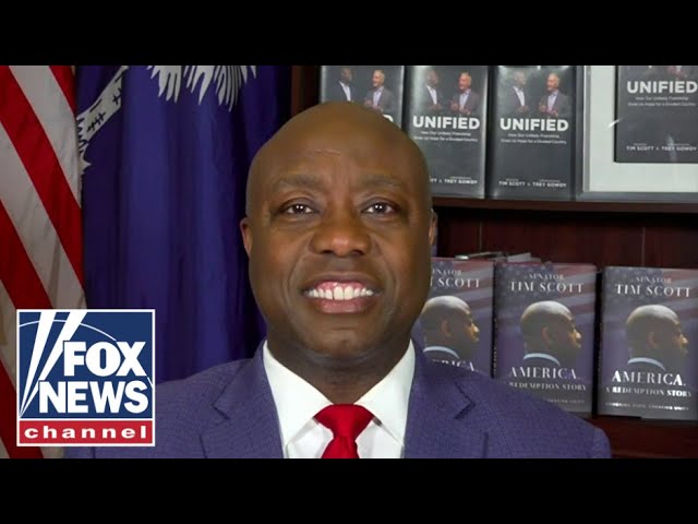 Tim Scott: We have to continue to elect conservative senators